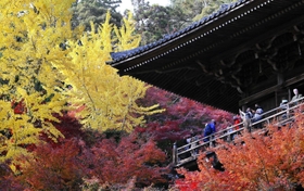 色づいた紅葉に包まれる摩尼殿からの景色を楽しむ人たち＝姫路市書写