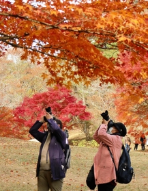 紅葉の撮影を楽しむ参加者＝神戸市立森林植物園