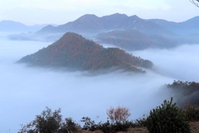 色づく山々を覆う雲海。雲が滝のように山を流れ落ちる「滝雲」も見られた＝丹波市春日町黒井、黒井城跡