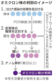 神戸新聞ＮＥＸＴ