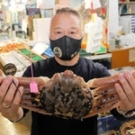 柴山港の初競りで１匹２２２万５６７０円で競り落とされた松葉ガニ＝７日午前、兵庫県香美町香住区境