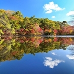 紅葉が見頃を迎えた木々。水面にも鮮やかな風景が広がった＝１３日午前、神戸市立森林植物園