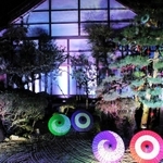 「阿弥陀如来」のいる極楽浄土を表現した書院庭園＝西教寺