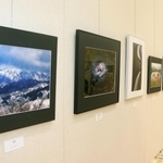 風景や人物などを撮影した作品が並ぶ会場＝神戸市灘区原田通３、原田の森ギャラリー