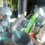 鳥インフルエンザの発生を受け、鶏の殺処分に当たる兵庫県職員ら＝１７日、姫路市内（県提供）