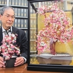 東京に住む強制不妊訴訟の男性原告から兵庫原告団に届いた造花と藤原精吾弁護士＝神戸市中央区