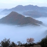 色づく山々を覆う雲海。雲が滝のように山を流れ落ちる「滝雲」も見られた＝丹波市春日町黒井、黒井城跡