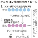 神戸新聞ＮＥＸＴ