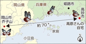 神戸新聞ＮＥＸＴ