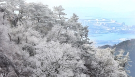 寒波が生み出した霧氷の森。神戸の街や海をバックに輝いた＝１８日午前、神戸市灘区六甲山町から撮影