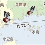 神戸新聞ＮＥＸＴ