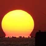 だるま夕日が釣れました－。夕景に釣り人のシルエットが浮かんだ＝１０日午後４時４６分、明石市大久保町江井ケ島