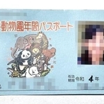 一般に販売されている年間パスポート（読者提供、画像の一部を加工しています）