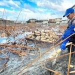 厳しい冷え込みの中、泥田の中からレンコンを掘り出す栽培農家＝姫路市大津区