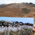 数年前まではススキが左右を囲んだという上山高原（下）。近年はシカの食害でススキの新芽が伸びず寂しい景色が広がる＝１１月撮影、兵庫県新温泉町