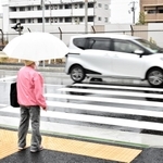 横断歩道を渡ろうとする歩行者の前を車両が行き交う＝７日、神戸市灘区灘北通８