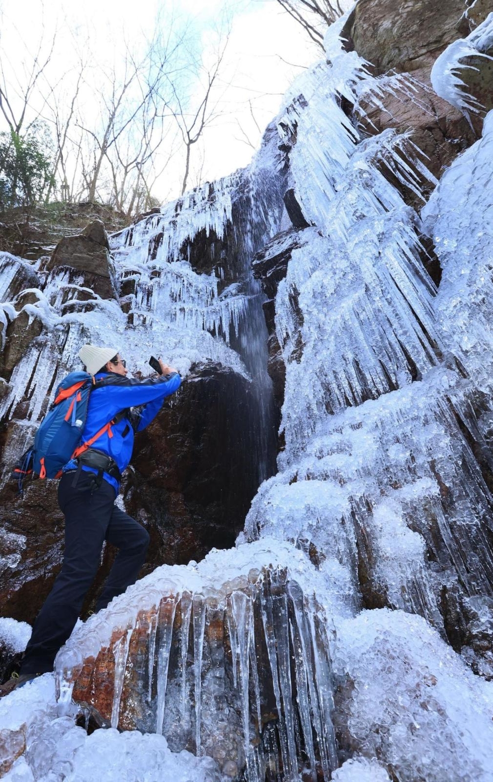 氷結の滝 幻想的な自然美 神戸 七曲滝 落差２５メートルの氷瀑出現 総合 神戸新聞next