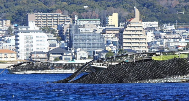 潜り船に引き上げられたノリ網＝神戸市須磨区沖