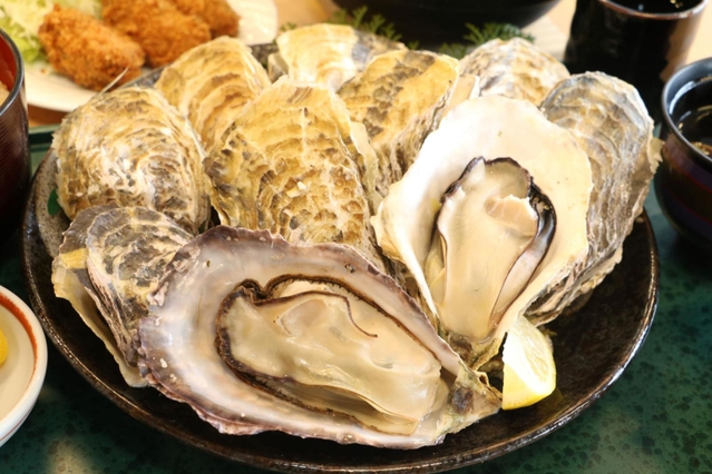 大粒の室津産カキ＝山城の郷