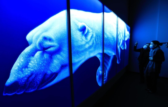 幻想的な青の色彩が目を引く作品＝２８日午後、神戸市東灘区向洋町中２、神戸ファッション美術館（撮影・鈴木雅之）