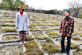 シバザクラを植えた地滑り現場に立つ「ゆりの会」の大野七郎さん（右）と岩城峯子さん＝西宮市仁川百合野町
