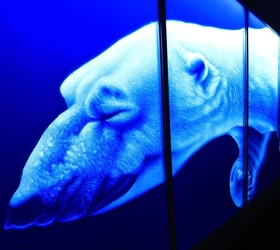 幻想的な青の色彩が目を引く作品＝２８日午後、神戸市東灘区向洋町中２、神戸ファッション美術館（撮影・鈴木雅之）