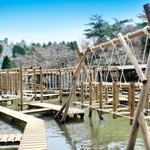 六甲山アスレチックパークＧＲＥＥＮＩＡ（提供写真）