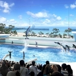 イルカによるパフォーマンスのイメージ図（神戸須磨　Ｐａｒｋｓ　＋　Ｒｅｓｏｒｔｓ　共同事業体提供）