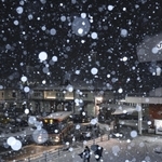 断続的に大粒の雪が舞うＪＲ豊岡駅前＝１３日夜、豊岡市大手町（撮影・小林良多）