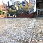 厳しい冷え込みで凍結した水たまり＝１４日午前、神戸市中央区加納町６