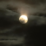 ２０２２年で地球から最も遠く小さく見える満月「ミニマムムーン」。薄雲をまとい、怪しい雰囲気を放つ＝１８日午後６時３１分、神戸市中央区東川崎町１、神戸新聞社から（撮影・鈴木雅之）