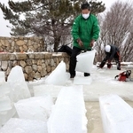 氷棚に分厚くできた氷を切り出す職員ら＝２０日午前、神戸市灘区六甲山町