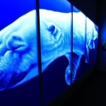 幻想的な青の色彩が目を引く作品＝２８日午後、神戸市東灘区向洋町中２、神戸ファッション美術館（撮影・鈴木雅之）