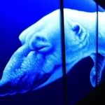 幻想的な青の色彩が目を引く作品＝２８日午後、神戸市東灘区向洋町中２、神戸ファッション美術館（撮影・鈴木雅之）