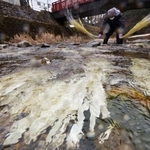流水で洗われるコウゾの白皮＝兵庫県多可町加美区鳥羽、杉原川