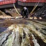 流水で洗われるコウゾの白皮＝兵庫県多可町加美区鳥羽、杉原川