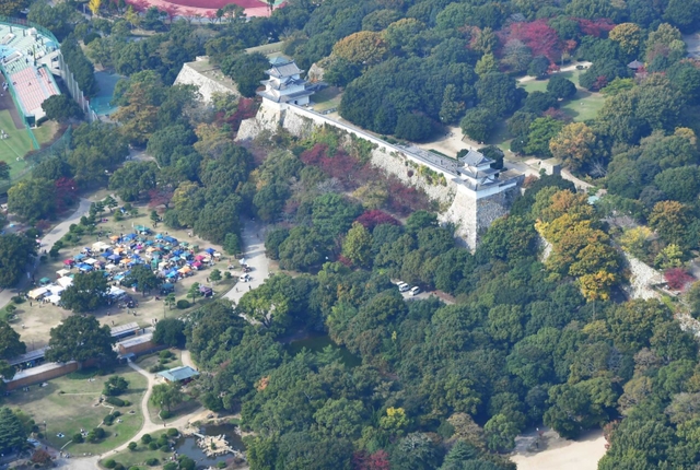 樹木伐採前の県立明石公園（２０１６年１１月撮影）