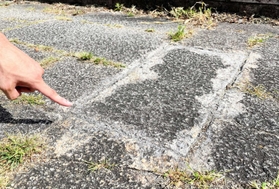 除草後にシリコーンを注入し、草が再生しないようにした場所＝昨年８月、西宮市内