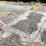 除草後にシリコーンを注入し、草が再生しないようにした場所＝昨年８月、西宮市内