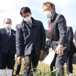 生産者から大雪などによる岩津ねぎの被害状況を聞く斎藤元彦知事（左から２人目）＝１１日午前、朝来市和田山町枚田