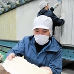 日本酒のもろみを搾って酒と分離された酒かす＝兵庫県香美町香住区小原、香住鶴