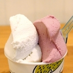 「リッチョドーロ」のジェラート＝神戸市中央区八幡通４