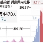 神戸新聞ＮＥＸＴ