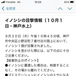 イノシシの目撃情報を知らせる「防犯ネット」のメール