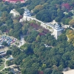 樹木伐採前の県立明石公園（２０１６年１１月撮影）