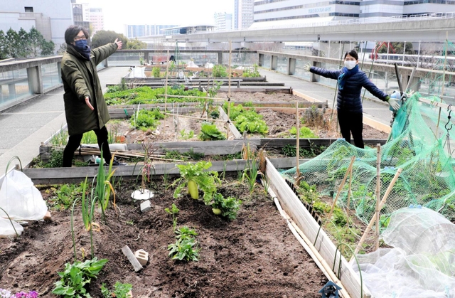 商業施設の屋上にある「シェラトンファーム」と、運営する（左から）江副真文さん、西橋悦さん＝神戸市東灘区向洋町中