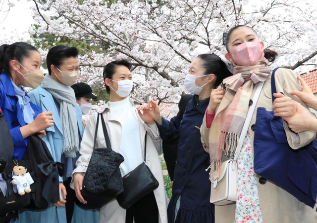 咲き誇る桜並木の下で、笑顔を浮かべる合格者＝３０日午前、宝塚市栄町１（撮影・斎藤雅志）
