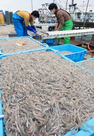 漁獲