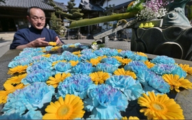 ウクライナに平和が訪れることを願い手水舎に浮かべられた青と黄色の花＝加西市尾崎町、多聞寺