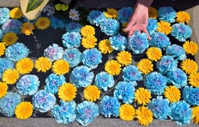 ウクライナの平和を願い国旗の色に合わせた青と黄色の花が浮かべられた手水舎＝加西市尾崎町、多聞寺